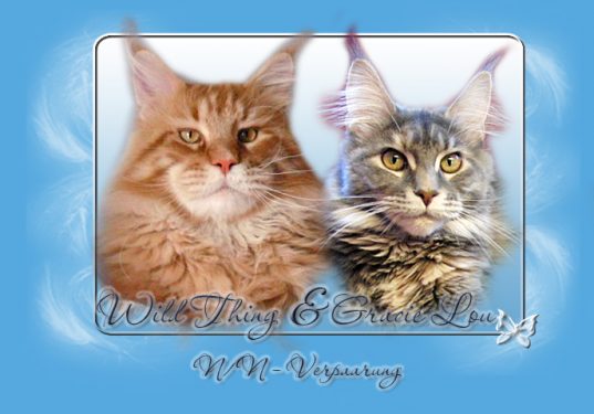 wildthing-gracy wildthing-gracy